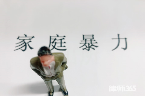 家庭暴力法规 家庭暴力法规
