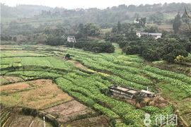 土地征收补偿标​准