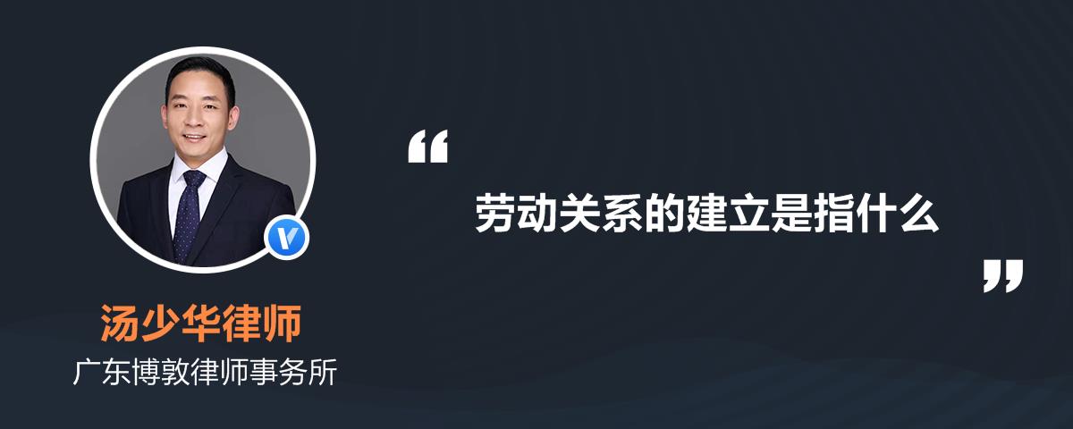 劳动关系的建立是指什么