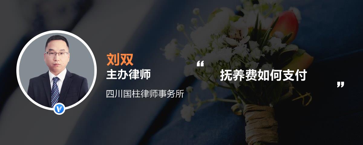 抚养费如何支付
