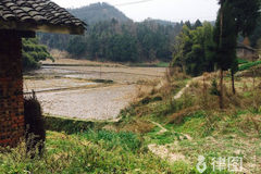 农村宅基地管理办法