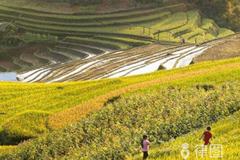 土地证过户费用