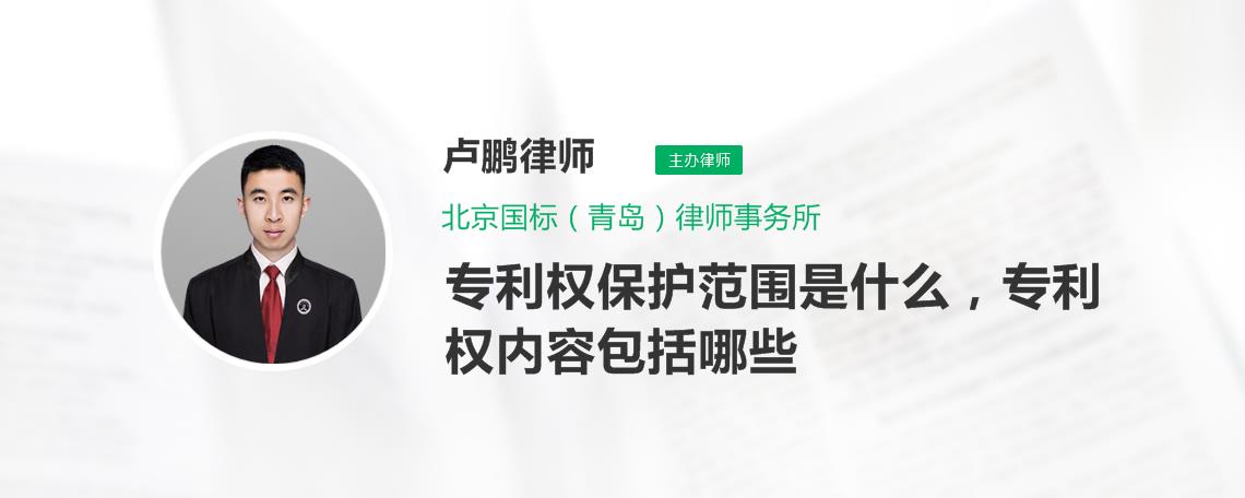 卢鹏律师