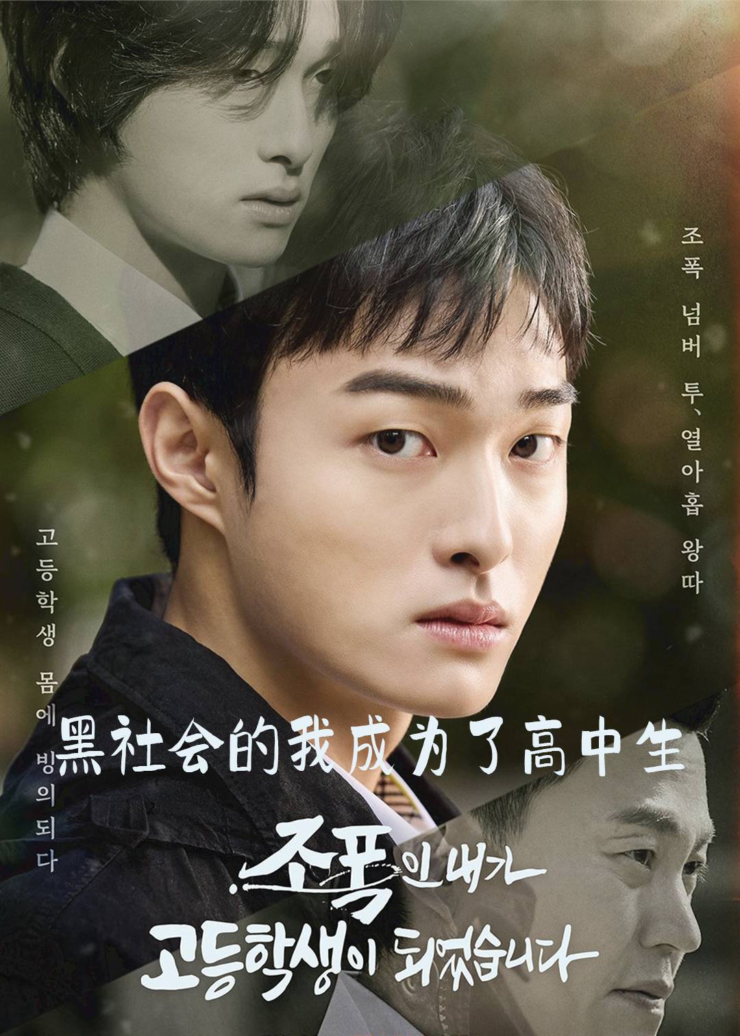 黑社会的我成为了高中生}