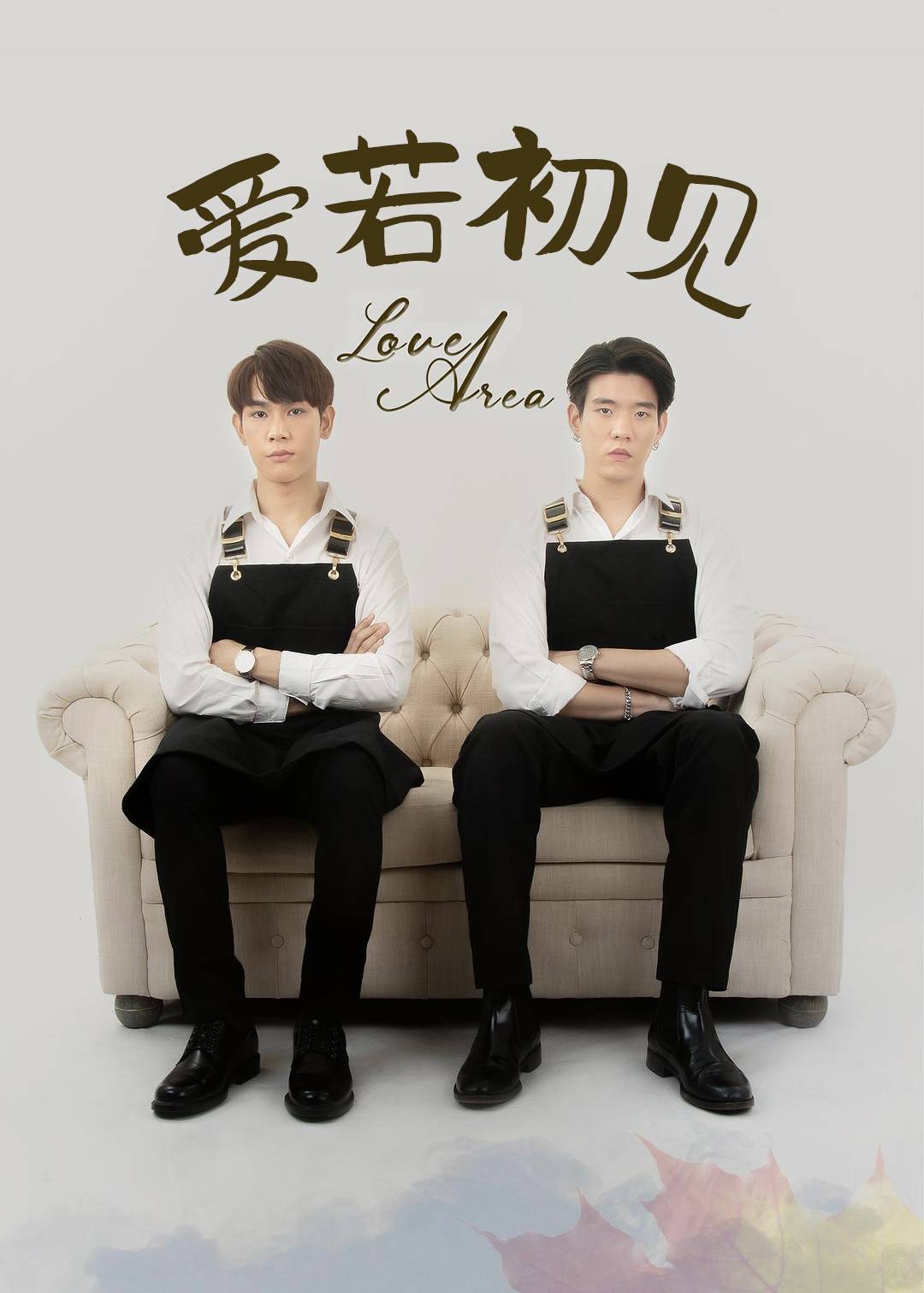 爱若初见 电视台版}