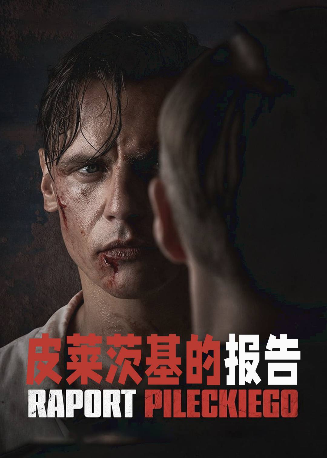 皮莱茨基的报告}