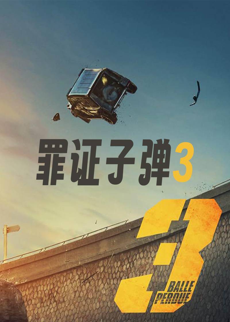 罪证子弹3}