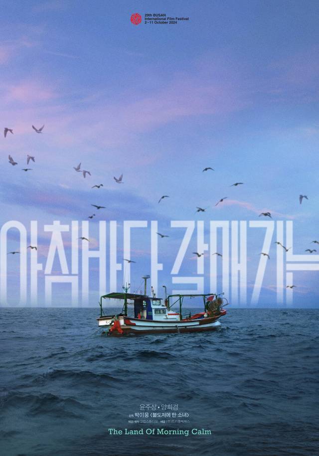晨海的海鸥}
