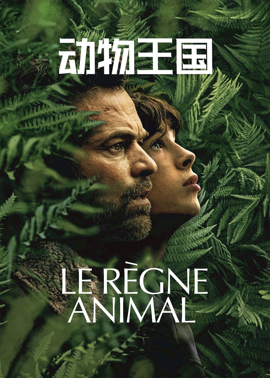 动物王国}