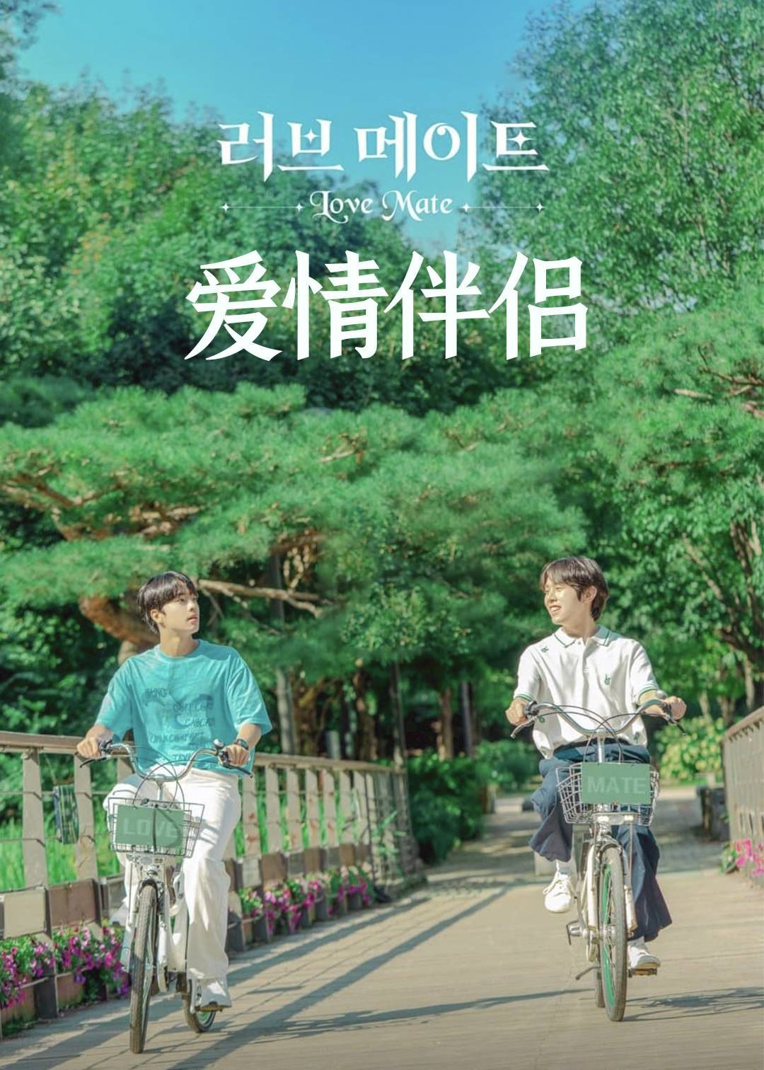 爱情伴侣}
