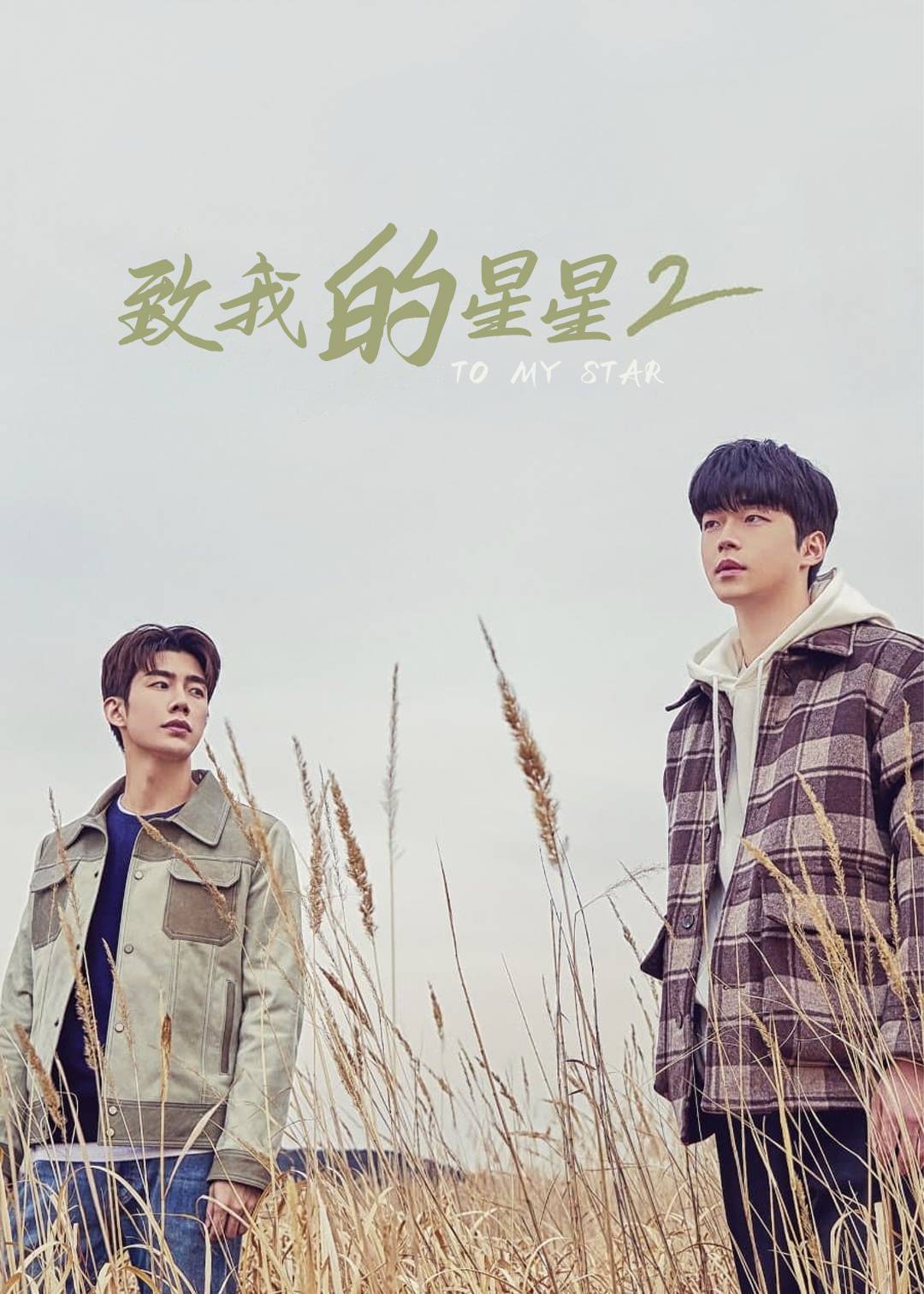 致我的星星 2}