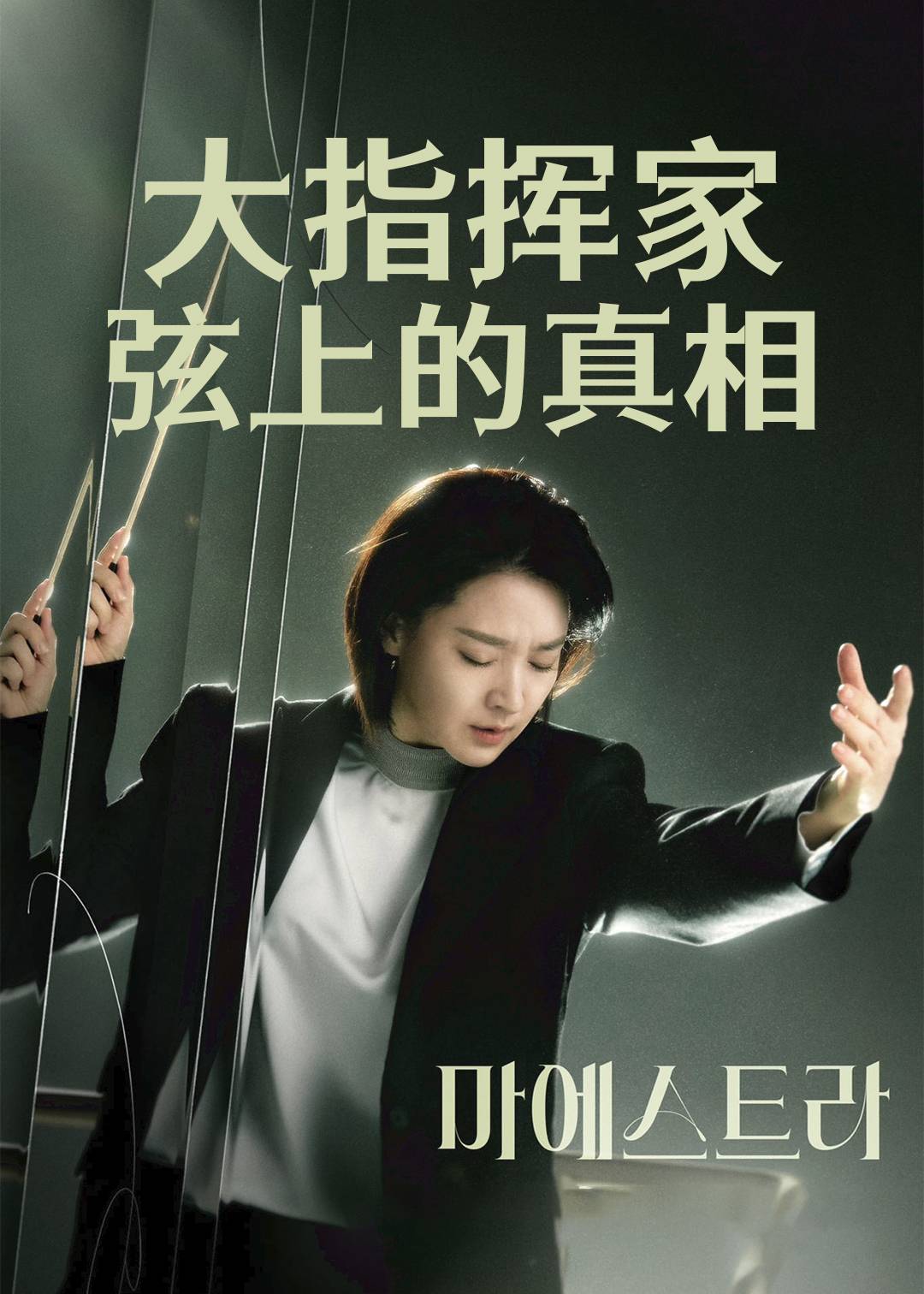 大指挥家 弦上的真相}