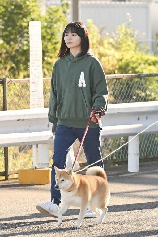 今日份的散步}