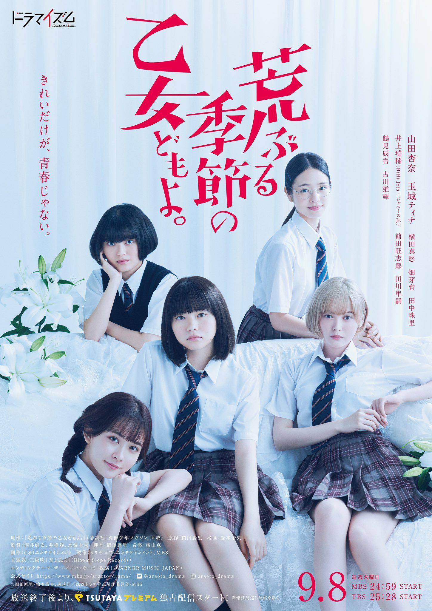 骚动时节的少女们啊}