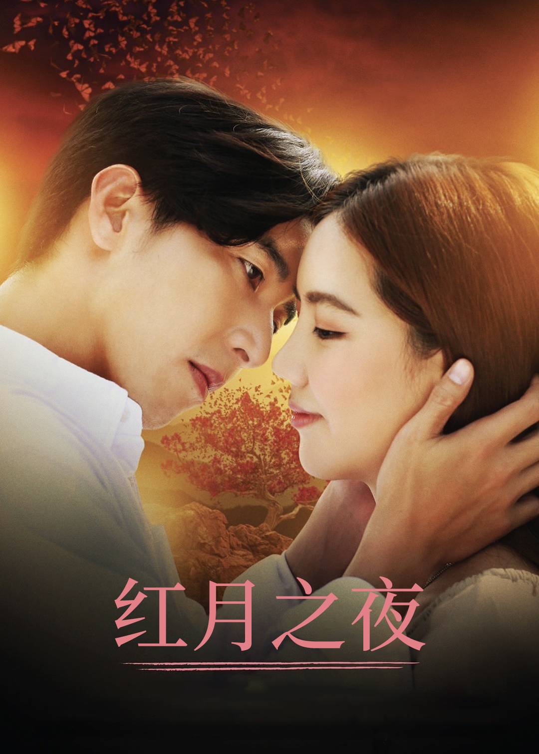 红月之夜}