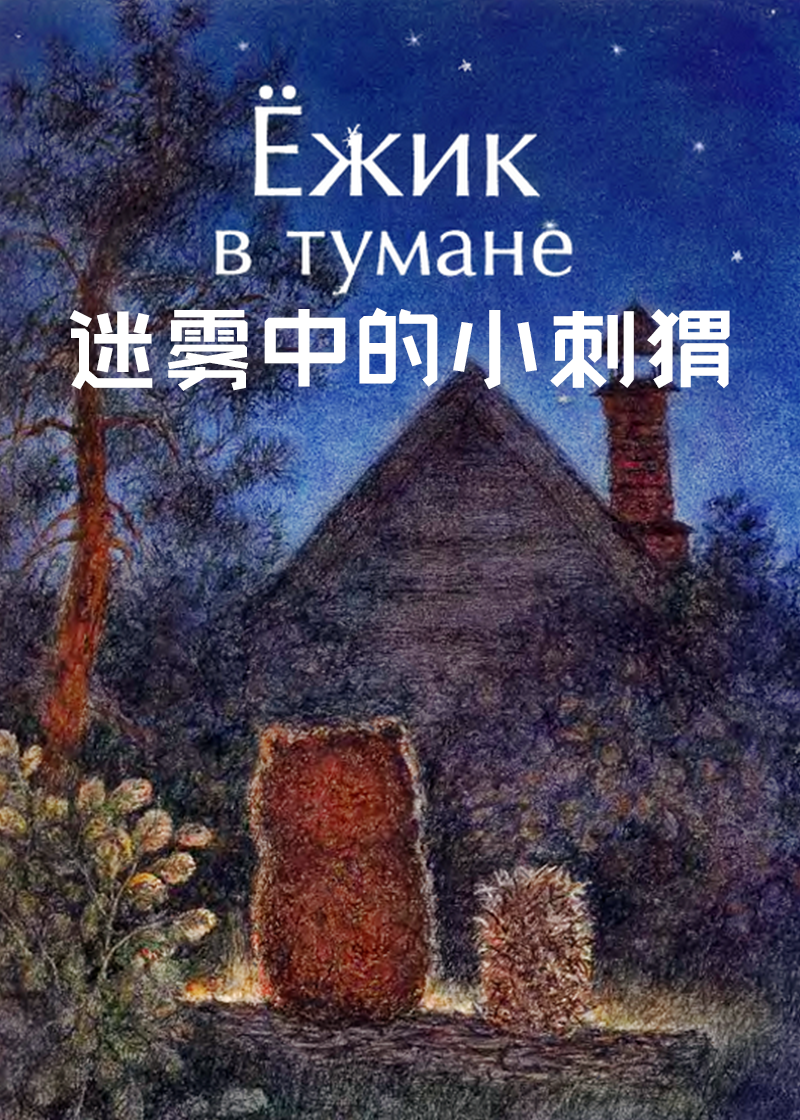 迷雾中的小刺猬}