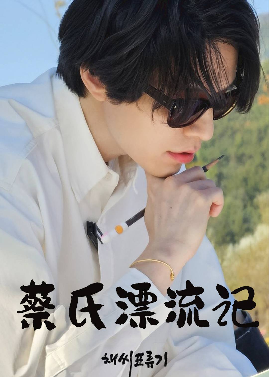蔡氏漂流记}