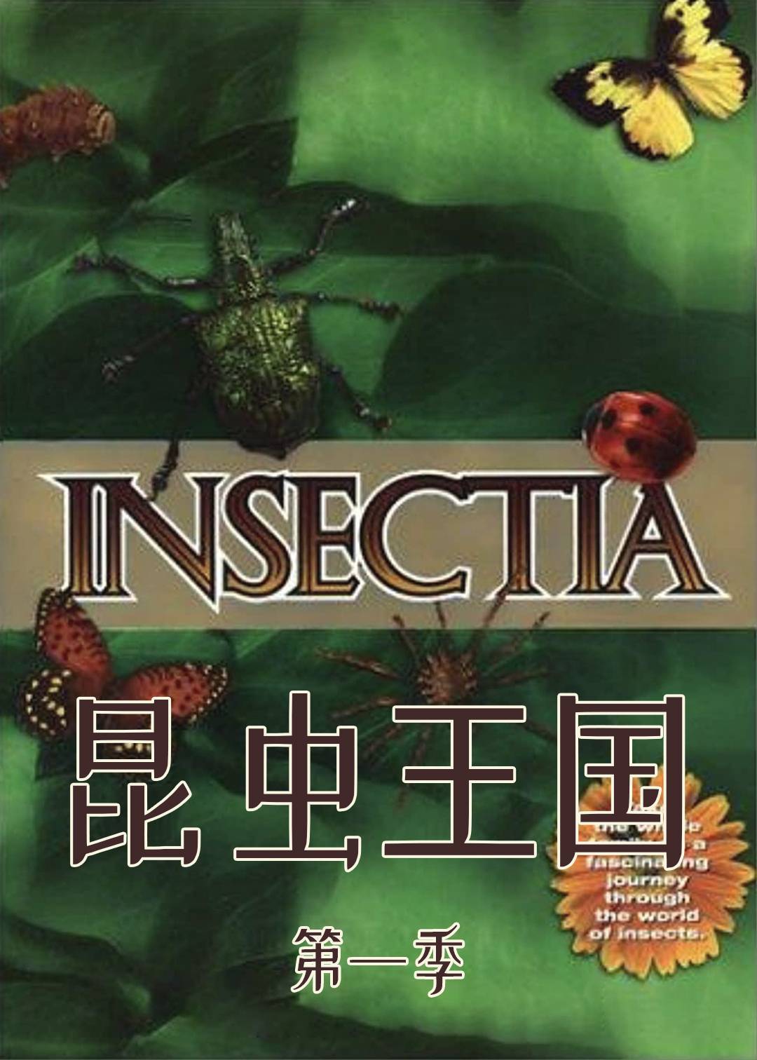 昆虫王国 1}