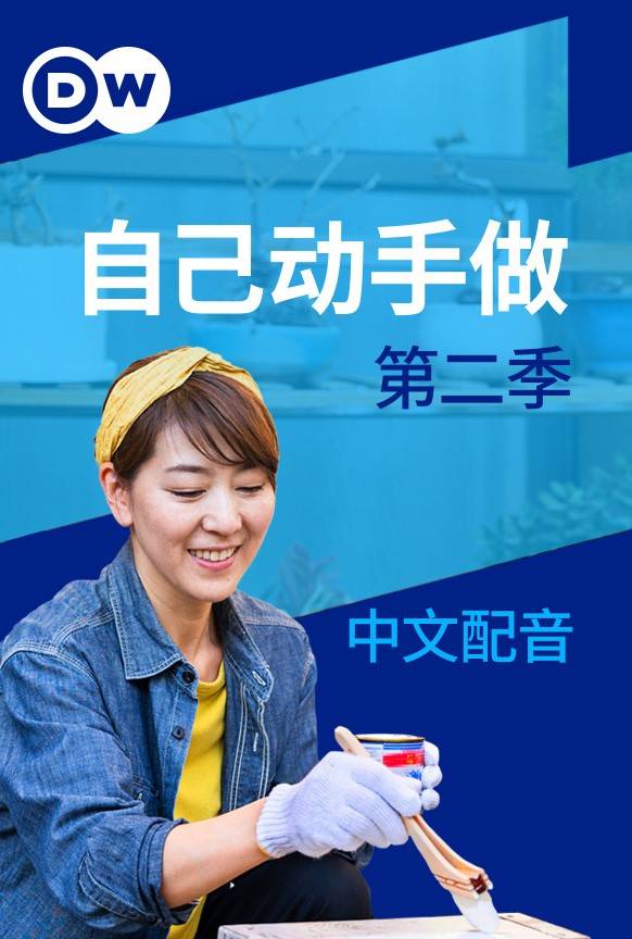 自己动手做 2}