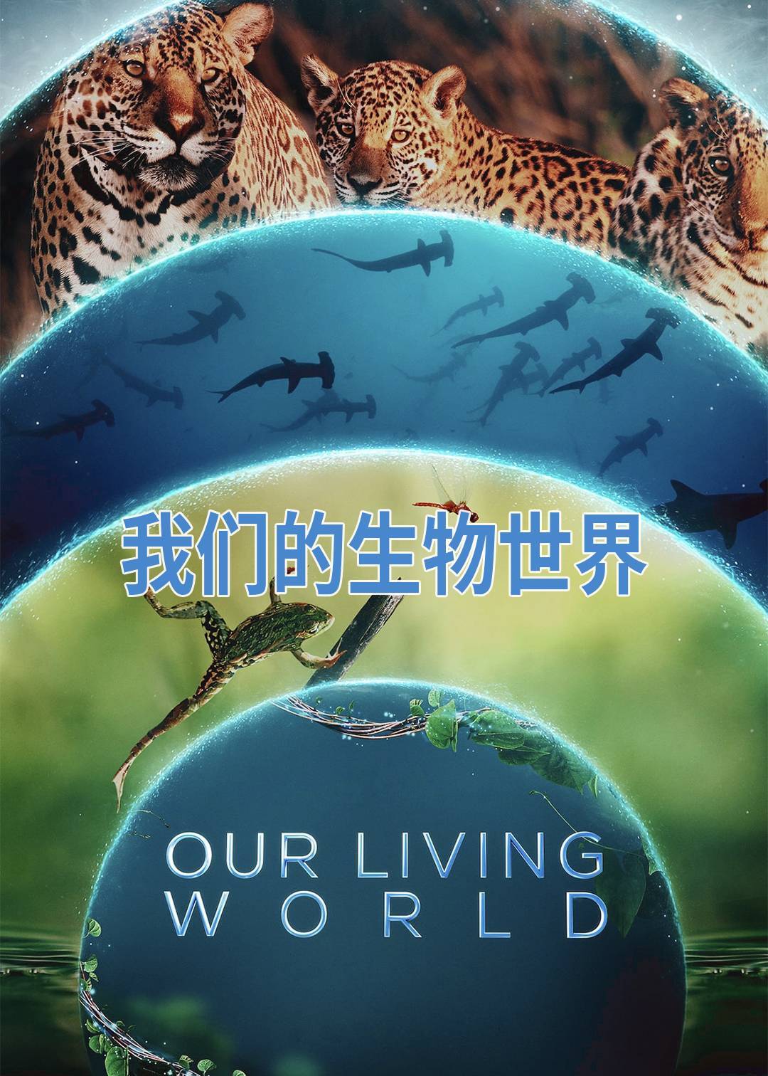 我们的生物世界}