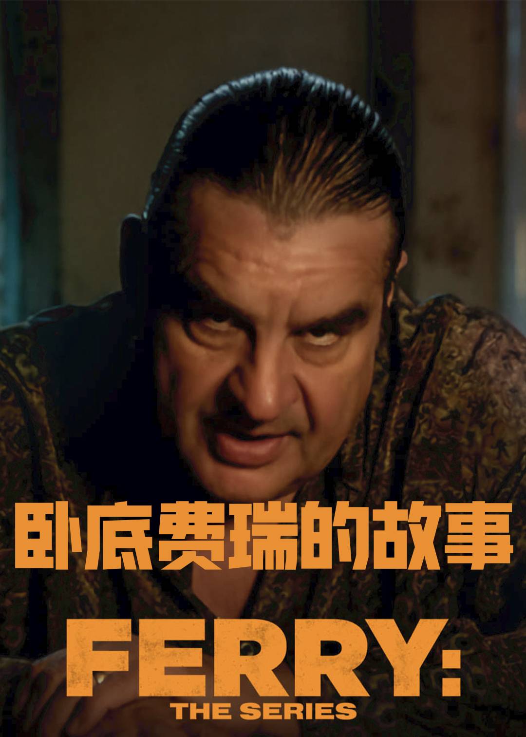 卧底费瑞的故事}