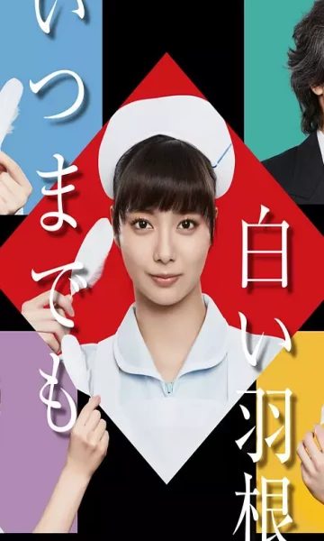 永远的白羽毛}