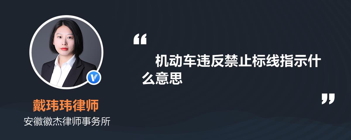 机动车违反禁止标线指示什么意思