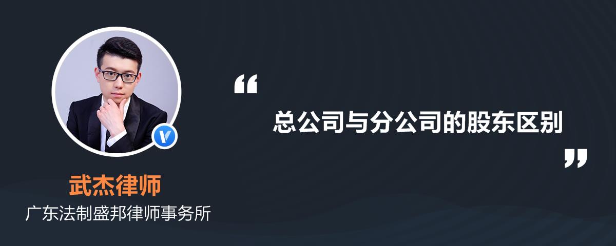 总公司与分公司的股东区别