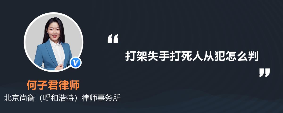 打架失手打死人从犯怎么判