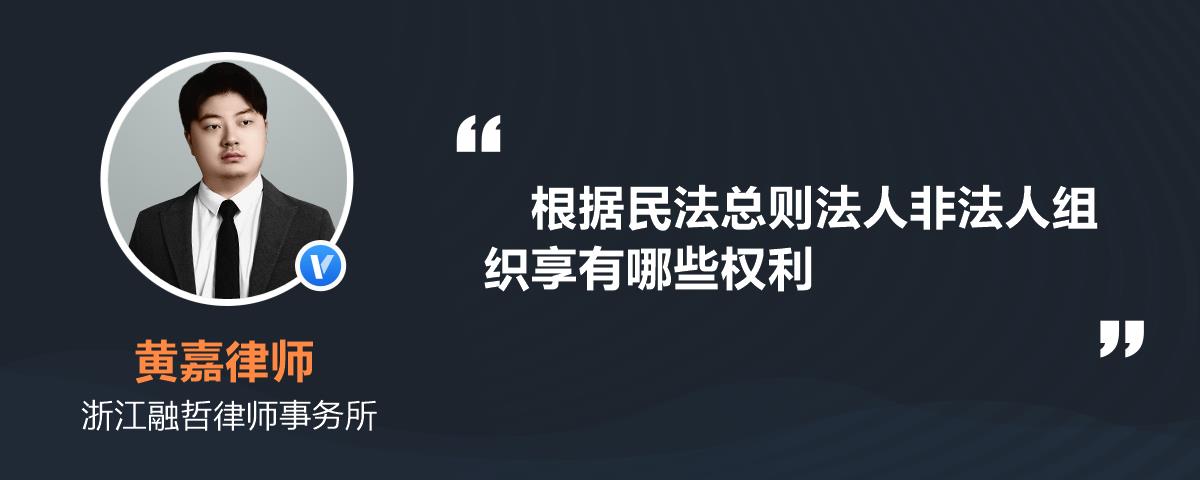 根據民法總則法人非法人組織享有哪些權利