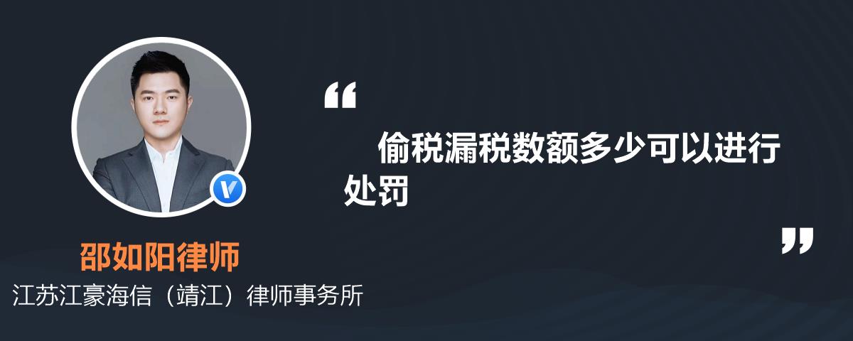 偷稅漏稅數額多少可以進行處罰