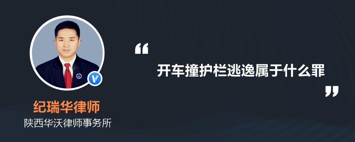 开车撞护栏逃逸属于什么罪