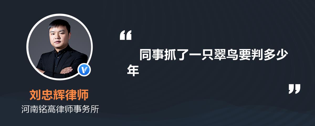 同事抓了一只翠鸟要判多少年