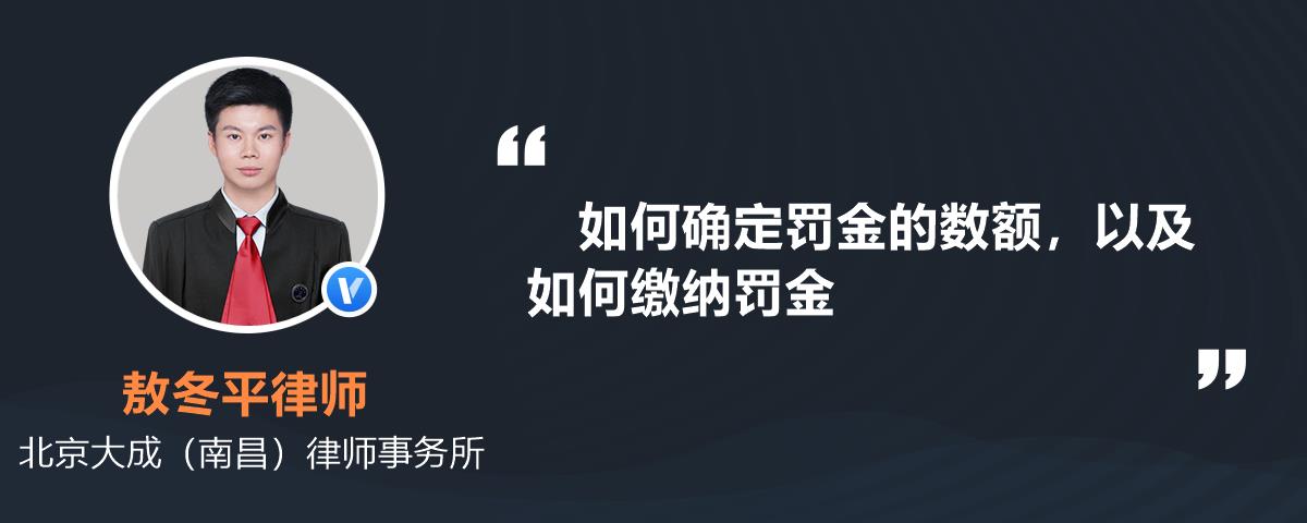 如何确定罚金的数额，以及如何缴纳罚金